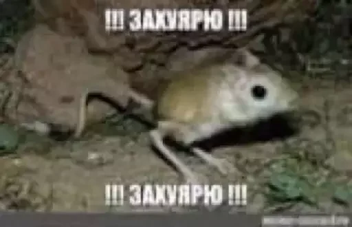 Sticker piapsoso - 1