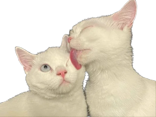 Sticker piapsoso - 1