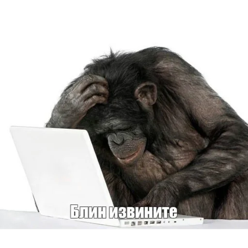 Sticker piapsoso - 1