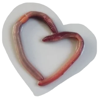 Sticker пумыч - 2