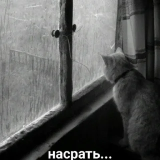 Sticker @pic4oskorbleniy - 11