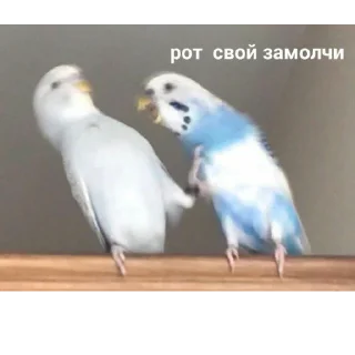 Sticker @pic4oskorbleniy - 3