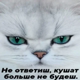 Sticker @pic4oskorbleniy - 4