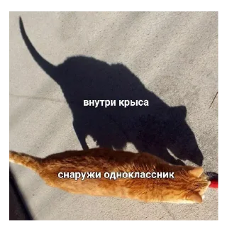 Sticker @pic4oskorbleniy - 2