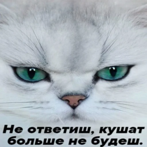 Стикер pic4oskorbleniy - 1