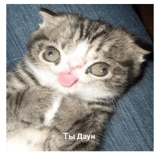 Sticker @pic4oskorbleniy - 6