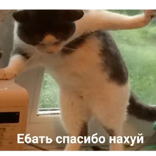 Sticker @pic4oskorbleniy - 7