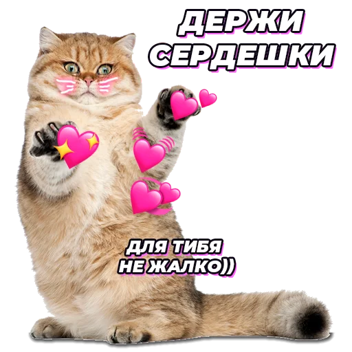 Стикер @pic4pickup - 11