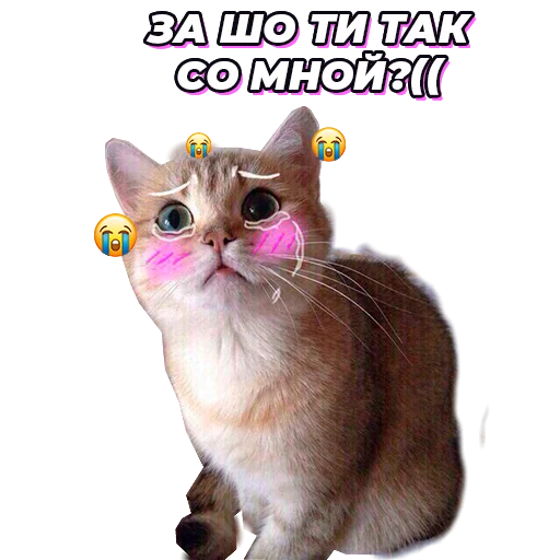 Стикер @pic4pickup - 10