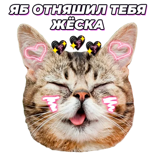 Стикер @pic4pickup - 9