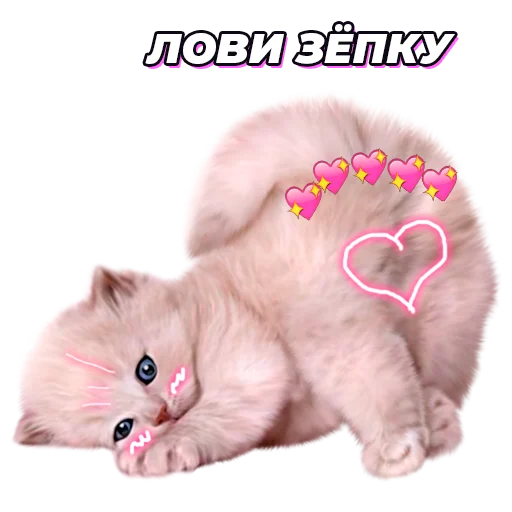 Стикер @pic4pickup - 5