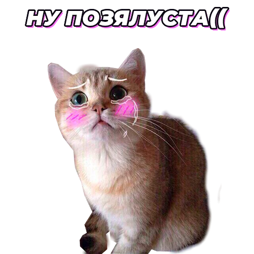 Стикер @pic4pickup - 3