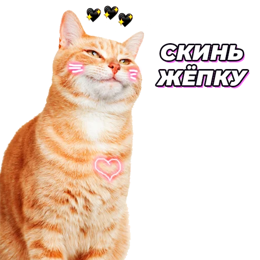 Стикер @pic4pickup - 0