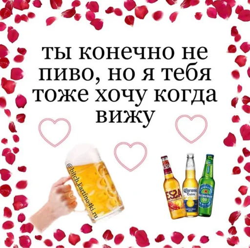 text soft drink drink