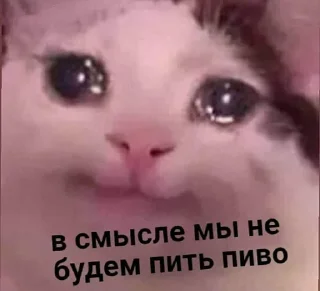 Стикер picchi - 4