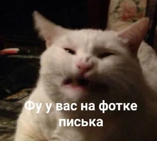 Стикер picchi - 5