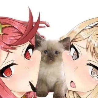 Стикер @svalkablin ꙳  ૮៸៸›  ‌‹៸៸ྀིა  пикчи и коти - 5