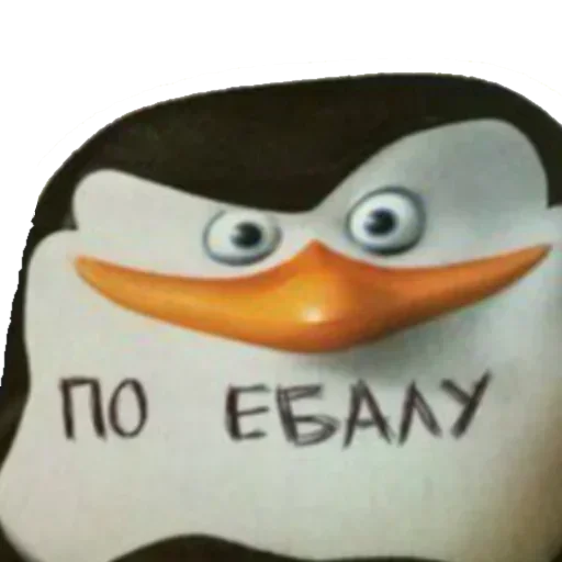 Стикер Пикчи для общения @stickerytg - 3