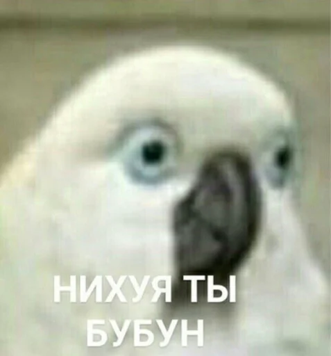 Sticker pickchi_iz_internetov - 1