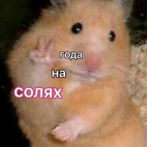 Sticker pickchi_iz_internetov - 1