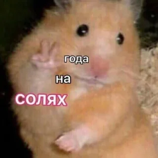 Sticker Пикчи - 5