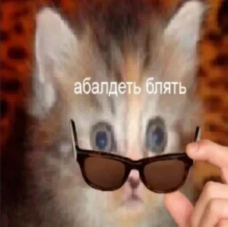 Sticker Пикчи - 9