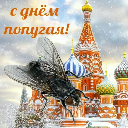 Sticker Pics by @ahahahaahaah - 8