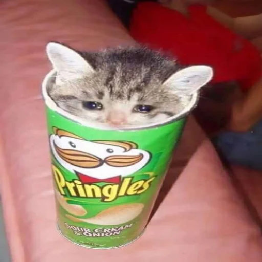 Sticker Pics by @ahahahaahaah - 0