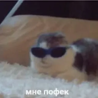 Sticker Пикчи @picstotalk - 3