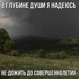 Sticker @SbornikStickers Пикчисы - 10