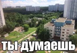 Sticker @SbornikStickers Пикчисы - 2