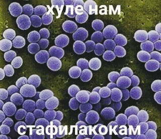 Sticker @SbornikStickers Пикчисы - 11