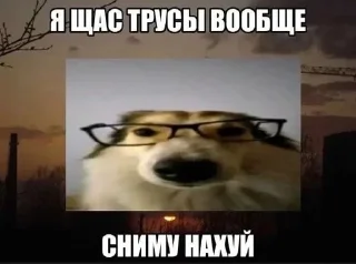 Sticker @SbornikStickers Пикчисы - 4