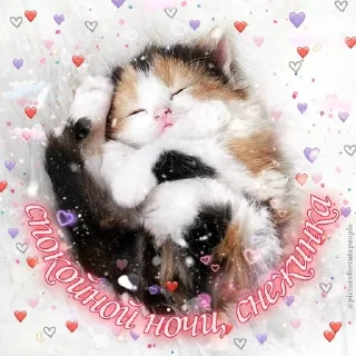 Sticker @pictureforcutepeople ночиутро - 3