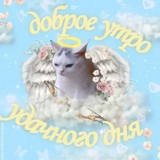 Sticker @pictureforcutepeople ночиутро - 6