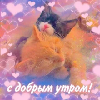 Sticker @pictureforcutepeople ночиутро - 7