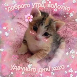 Sticker @pictureforcutepeople ночиутро - 9