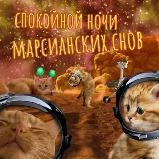 Sticker @pictureforcutepeople ночиутро - 8