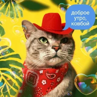 Sticker @pictureforcutepeople ночиутро - 11