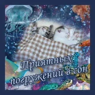 Sticker @pictureforcutepeople ночиутро - 1