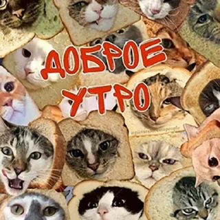 Sticker @pictureforcutepeople ночиутро - 2