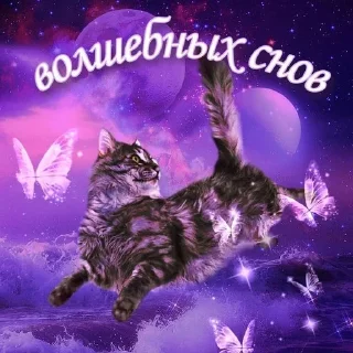 Sticker @pictureforcutepeople ночиутро - 4