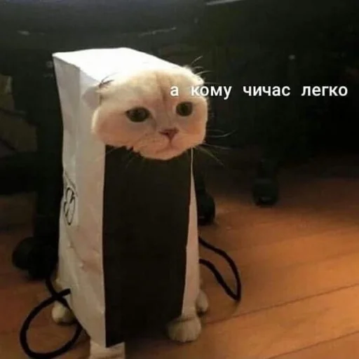 Стикер картинки @nghtmrq - 10