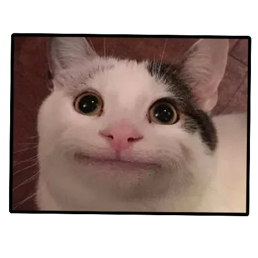 Пички @SbornikStickers - 