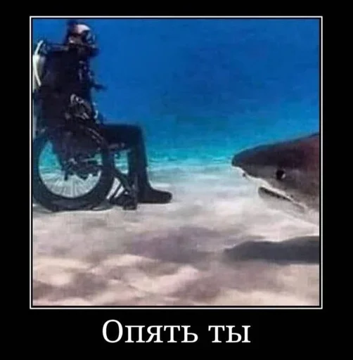 СМС риф скриншот