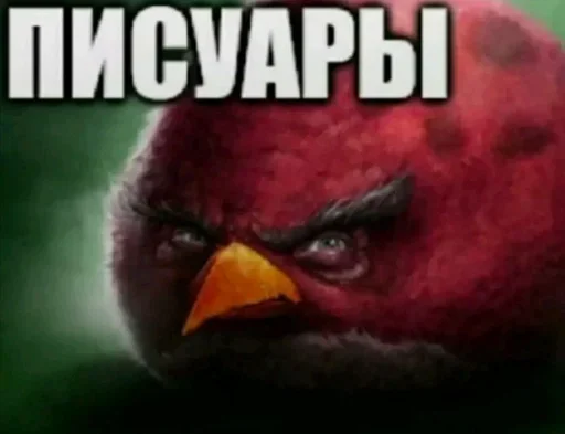 СМС животное птица