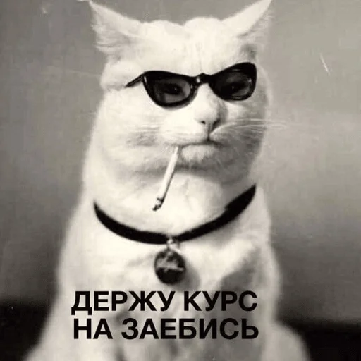 Sticker pidrillllla - 1