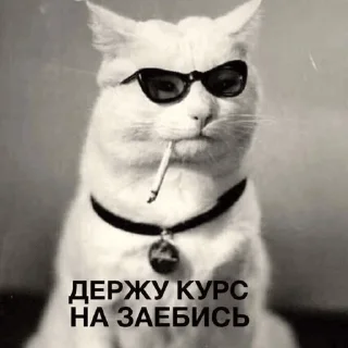 Стикер pidrillla - 10