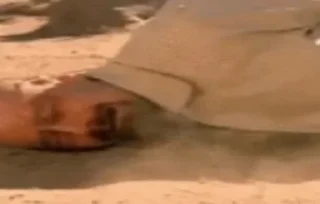 Стикер @piece_fap_club - 4