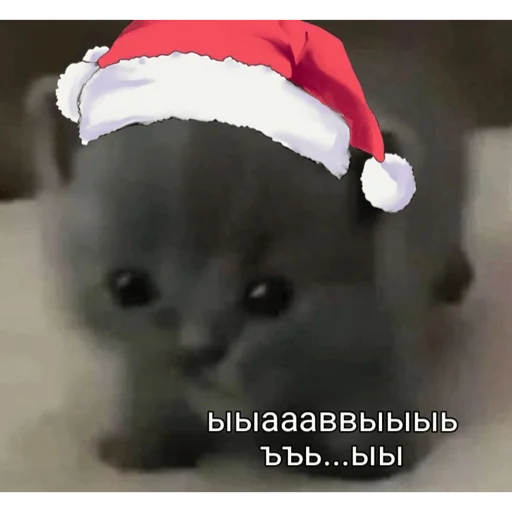 Стикер piecoquette - 1